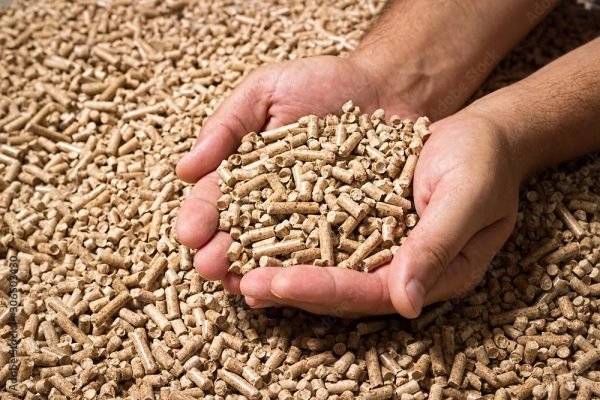 Wood pellets in the background. Biofuels. Cat litter. Man's hands.